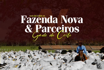LEILÃO VIRTUAL FAZENDA NOVA & PARCEIROS - GADO DE CORTE